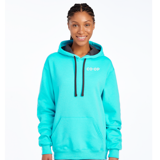 FRUIT OF THE LOOM ADULT SOFTSPUN FLEECE HOODIE